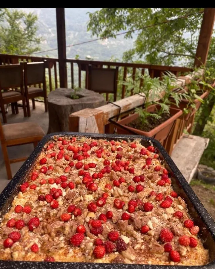 Guesthouse Kroni I Micanit Theth